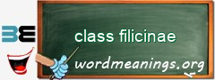 WordMeaning blackboard for class filicinae